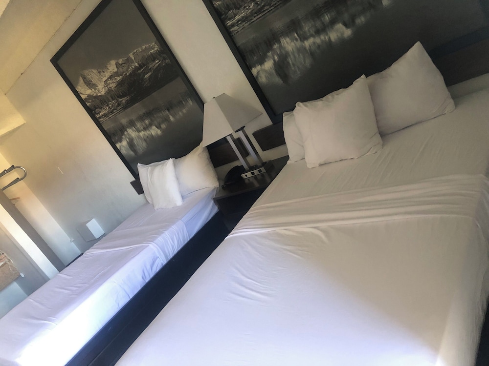 Budget Inn Denver Downtown photo4