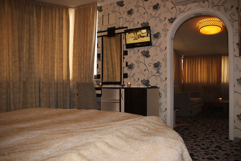 Ankara Risiss Hotel 43/74