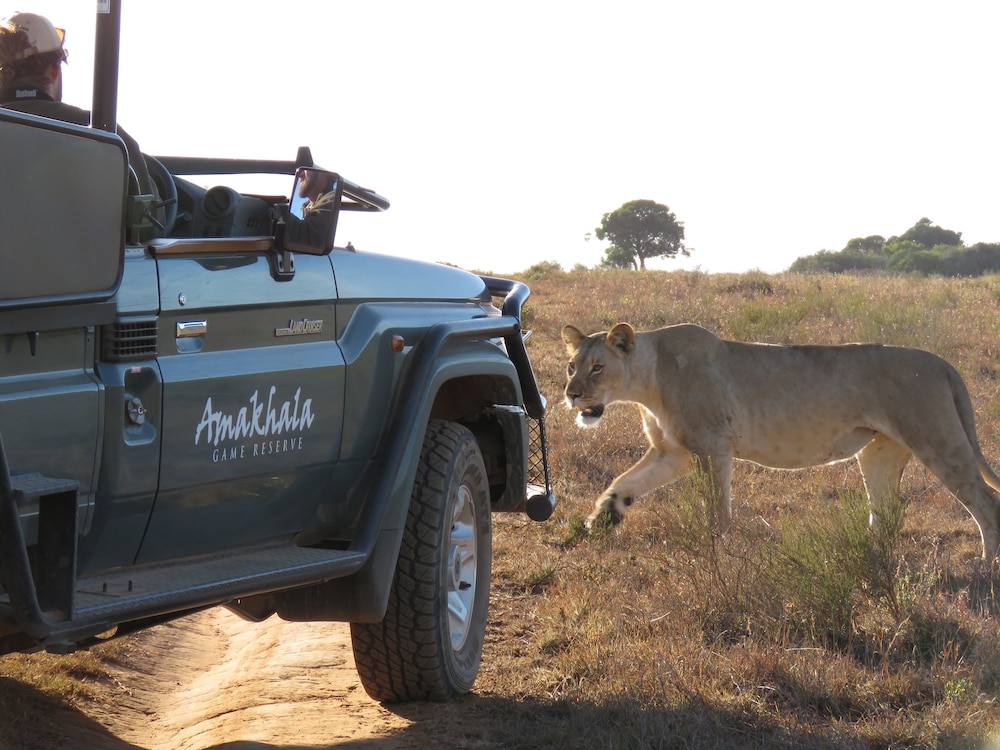 Amakhala Woodbury Tented Camp 5/33