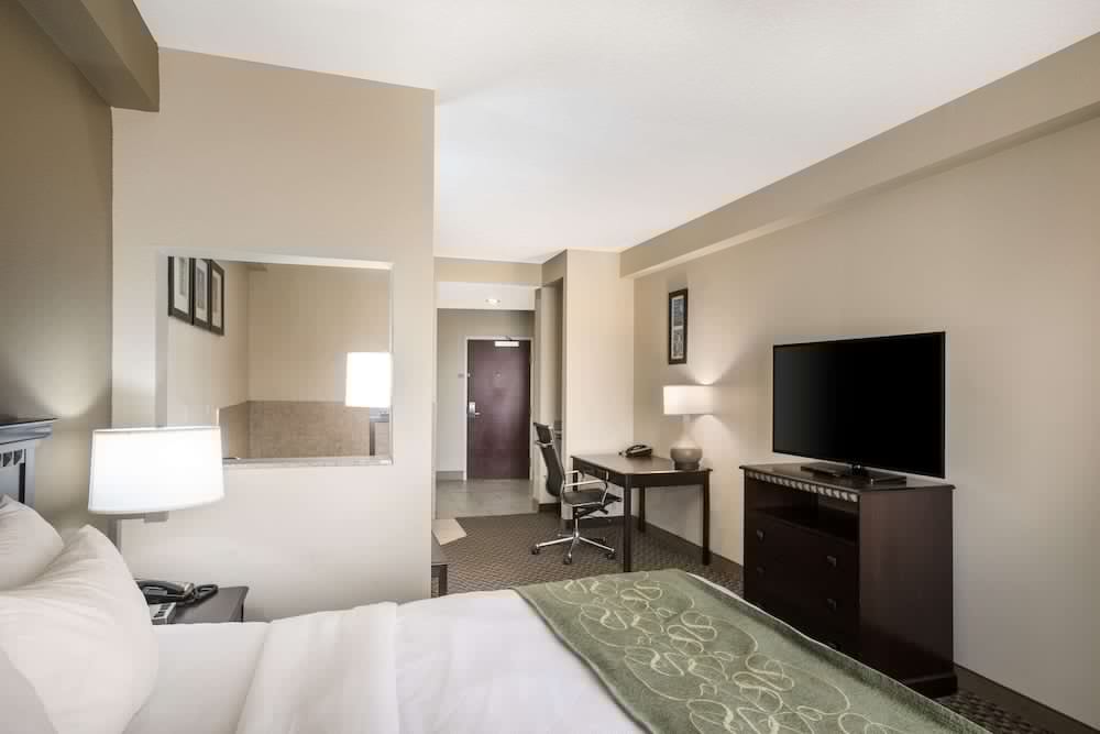 Comfort Suites Forsyth Near I-75 15/49
