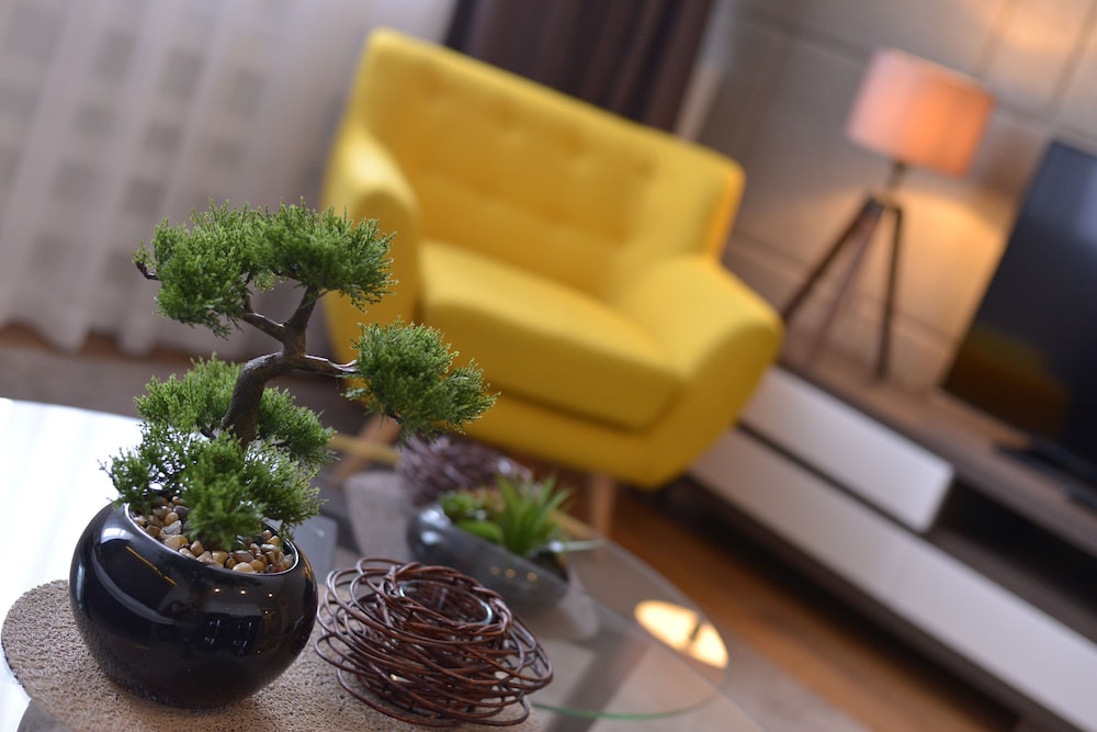Boutique Rooms 39/50