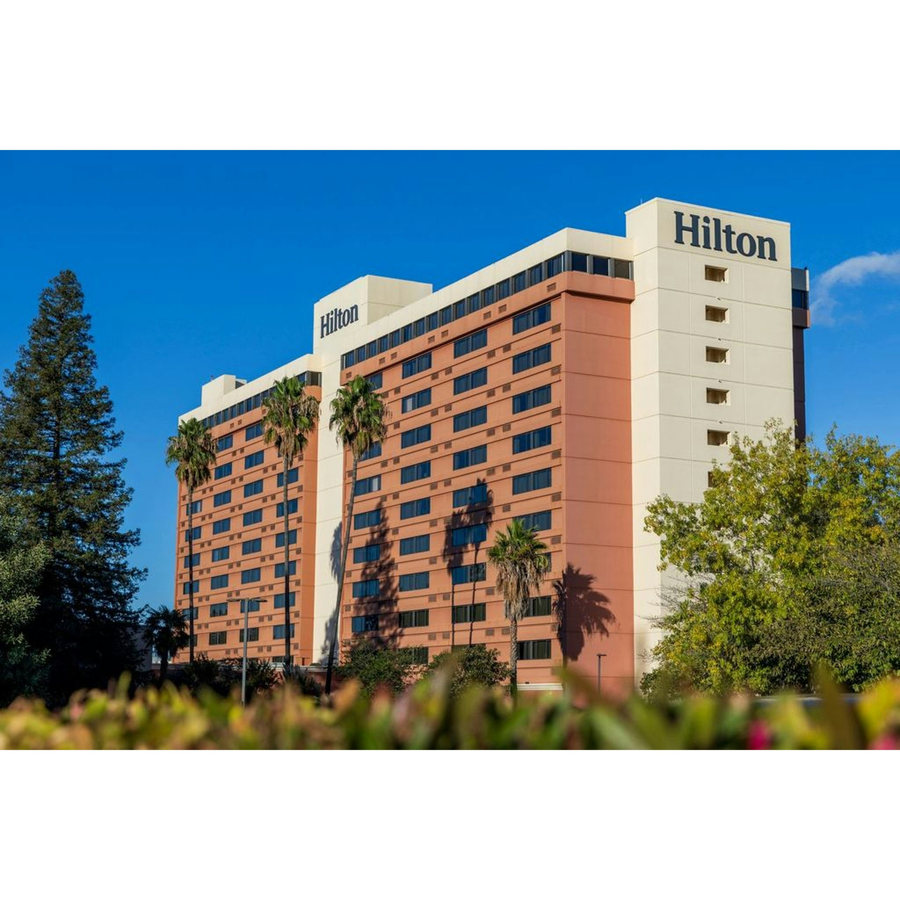 Hilton Concord 8/67
