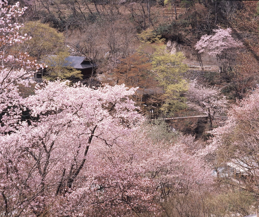 Takaragawa Onsen Osenkaku 32/37