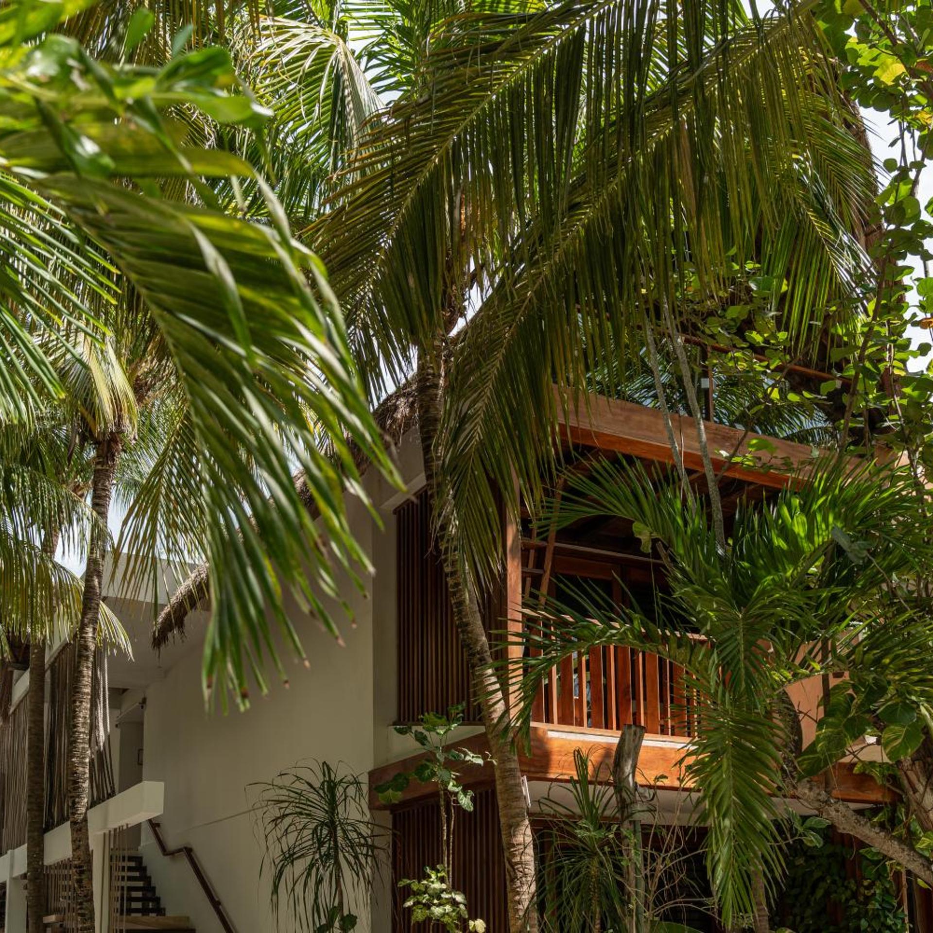 Hotel Villas Caracol 43/50