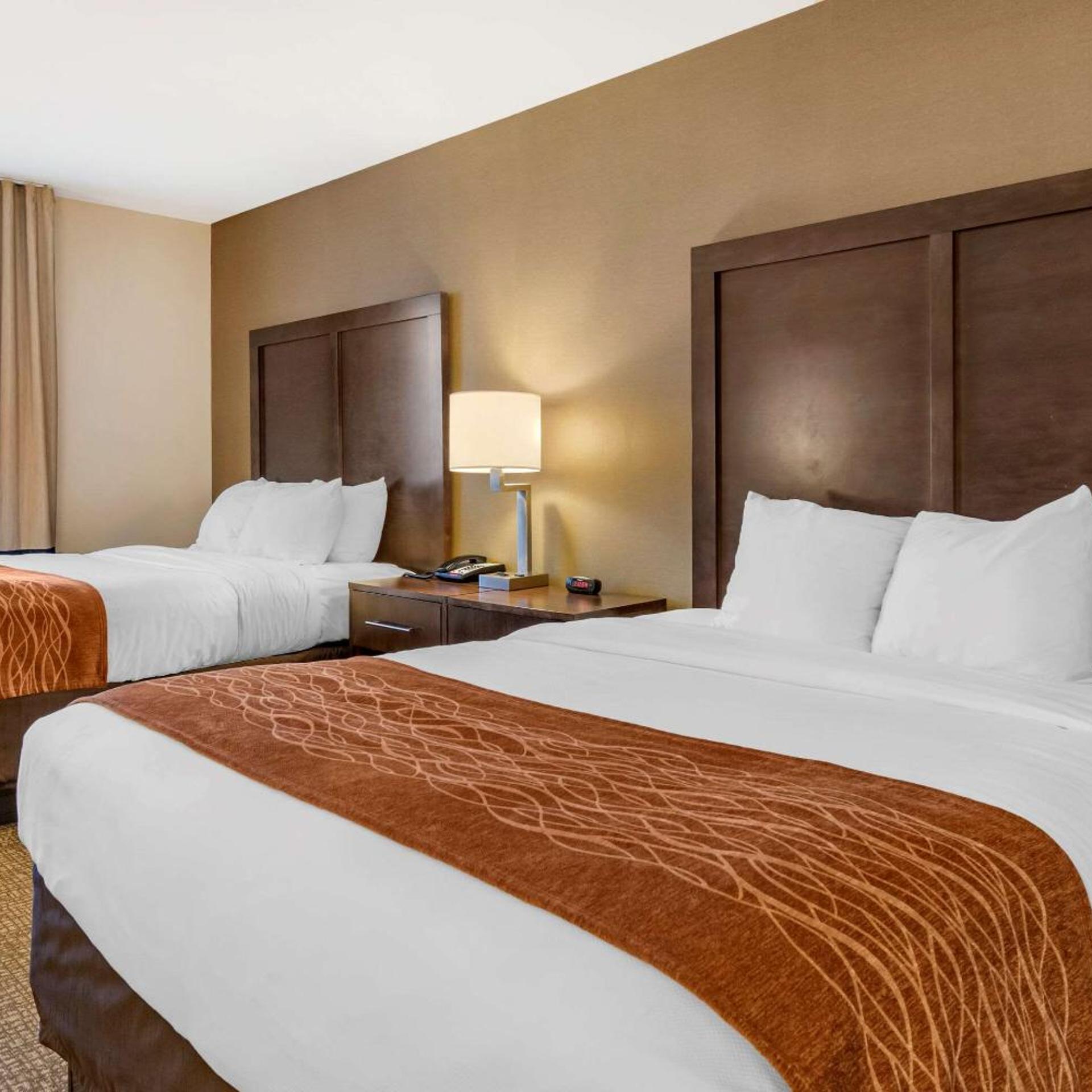 Room, 2 Queen Beds, Large