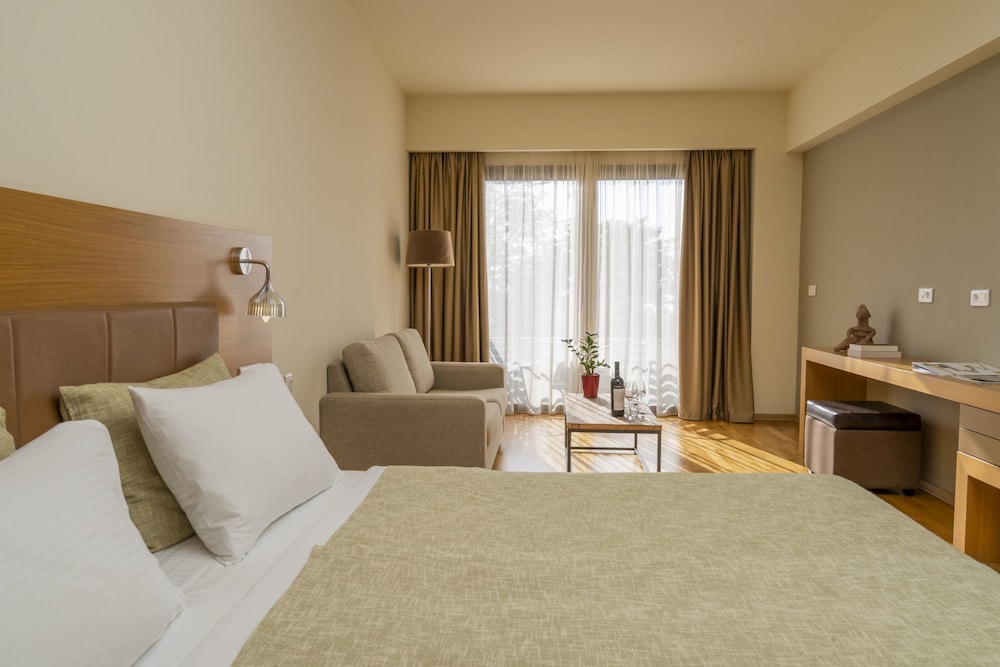 Domotel Anemolia Mountain Resort 10/34