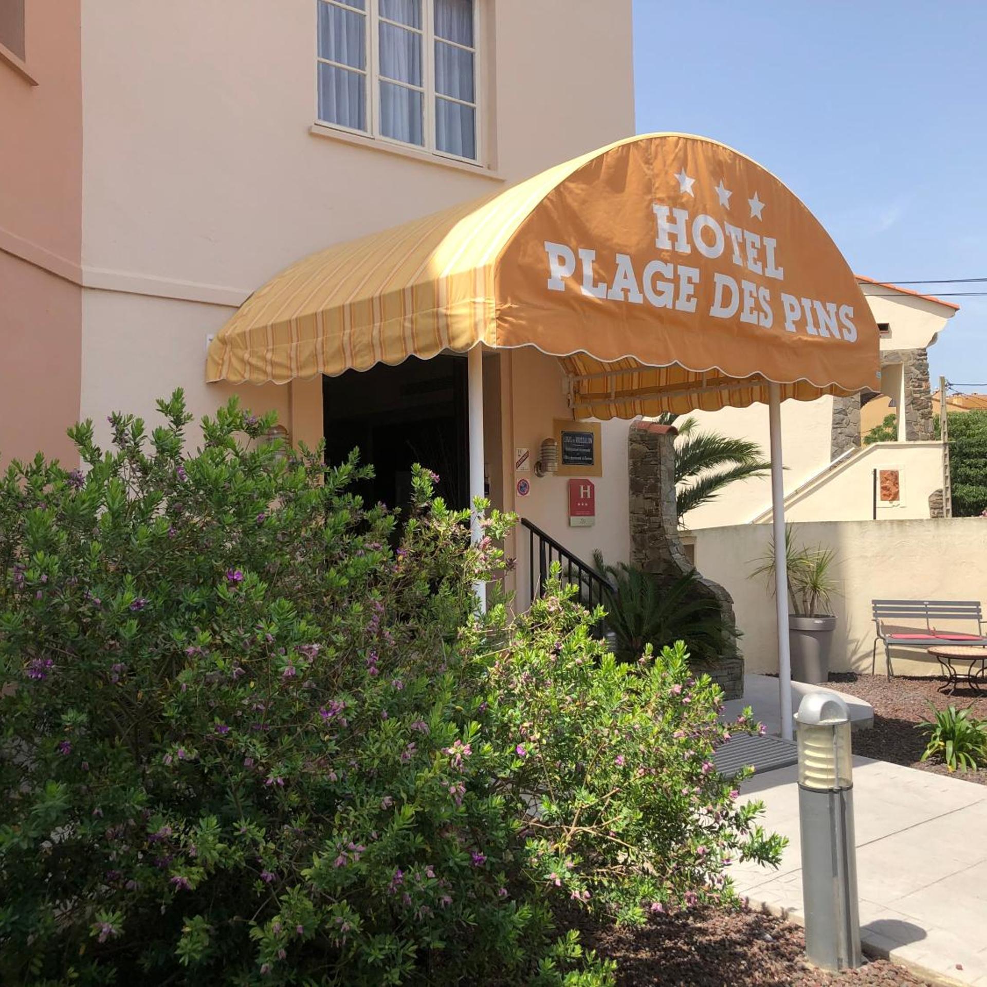 Hôtel Plage Des Pins 46/52