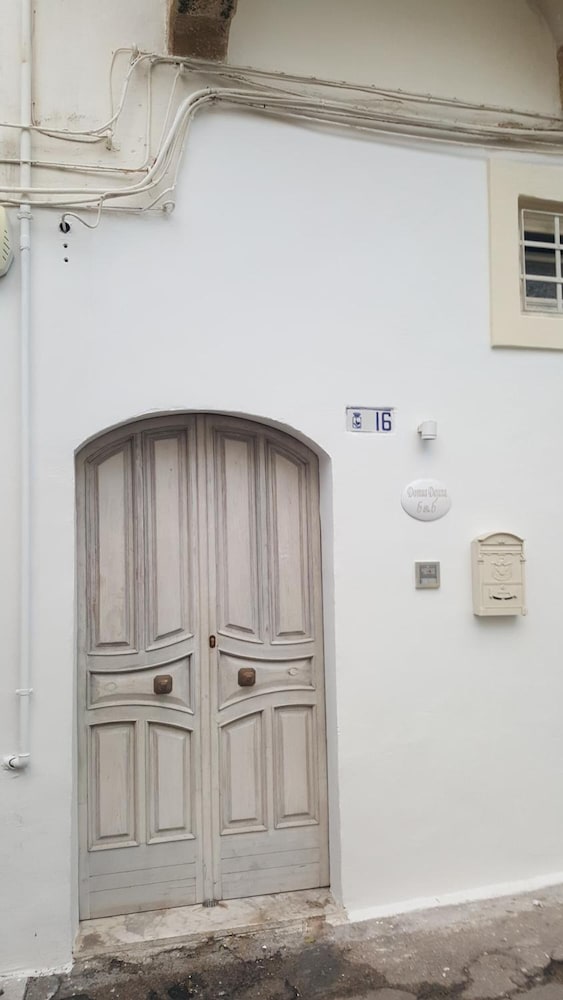 Domus Dejana 2/27