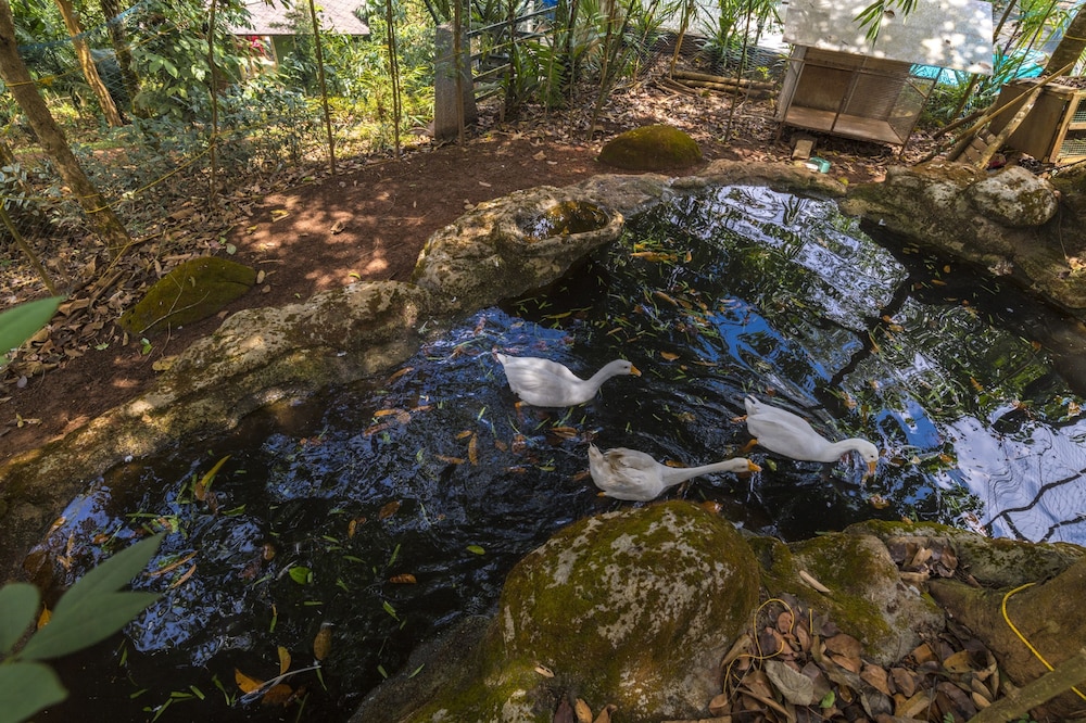 Adithya Nature Resort & Spa 11/50
