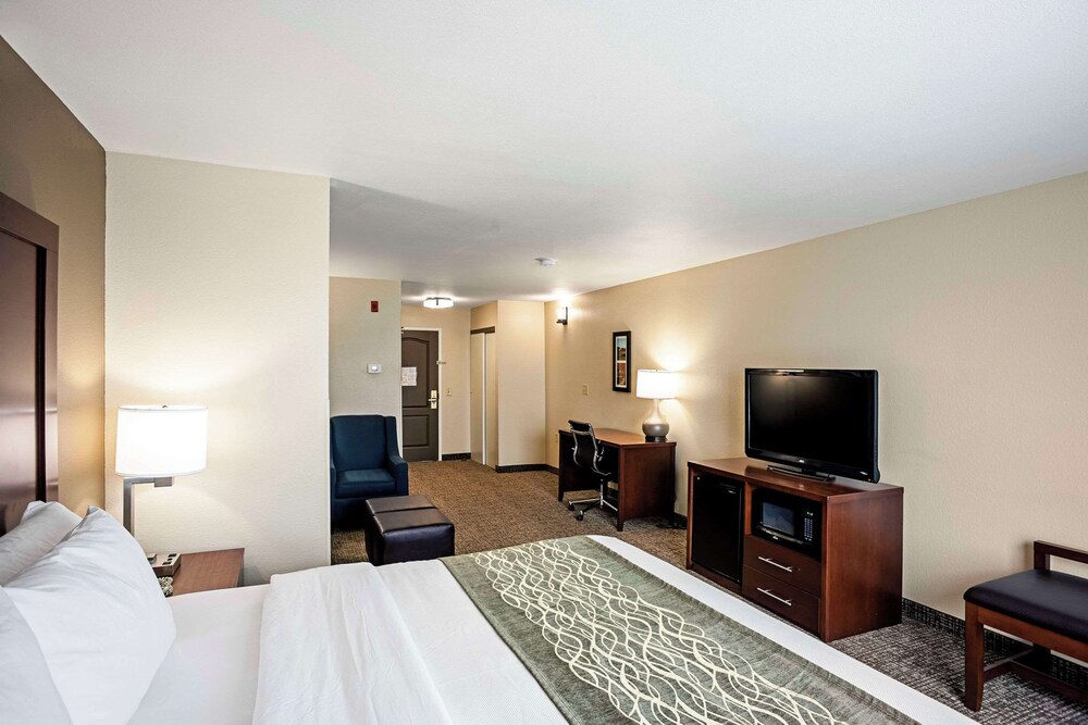 Suite, King Bed, Sofa