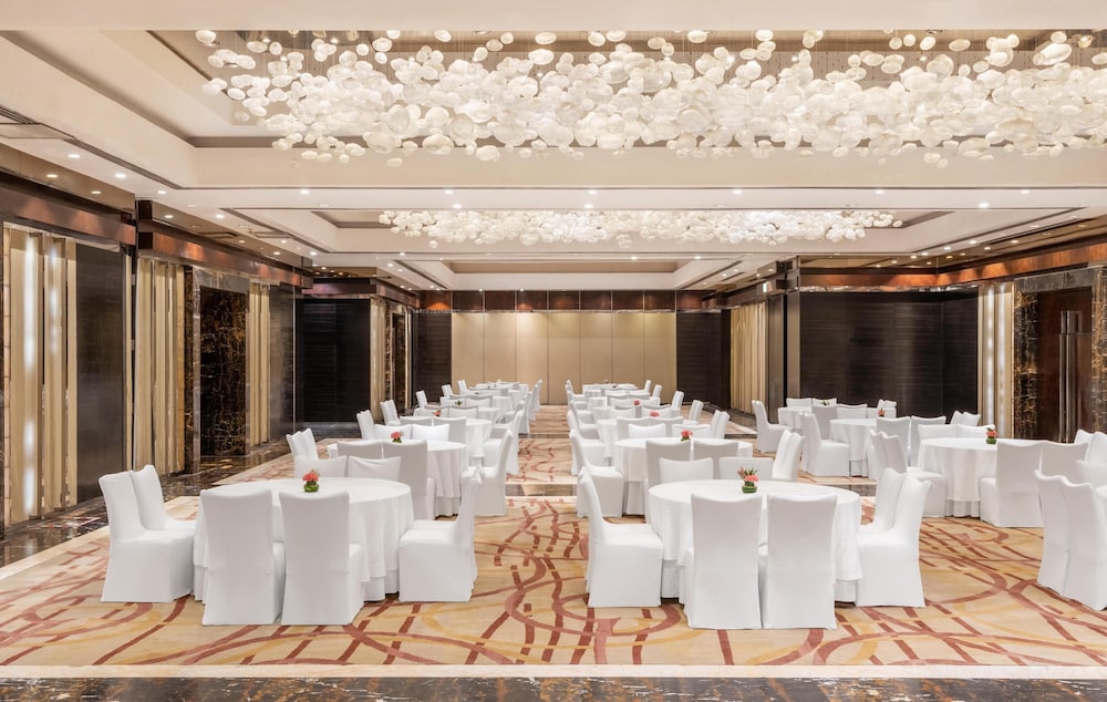 Radisson Blu Plaza Hotel Delhi Airport 65/76