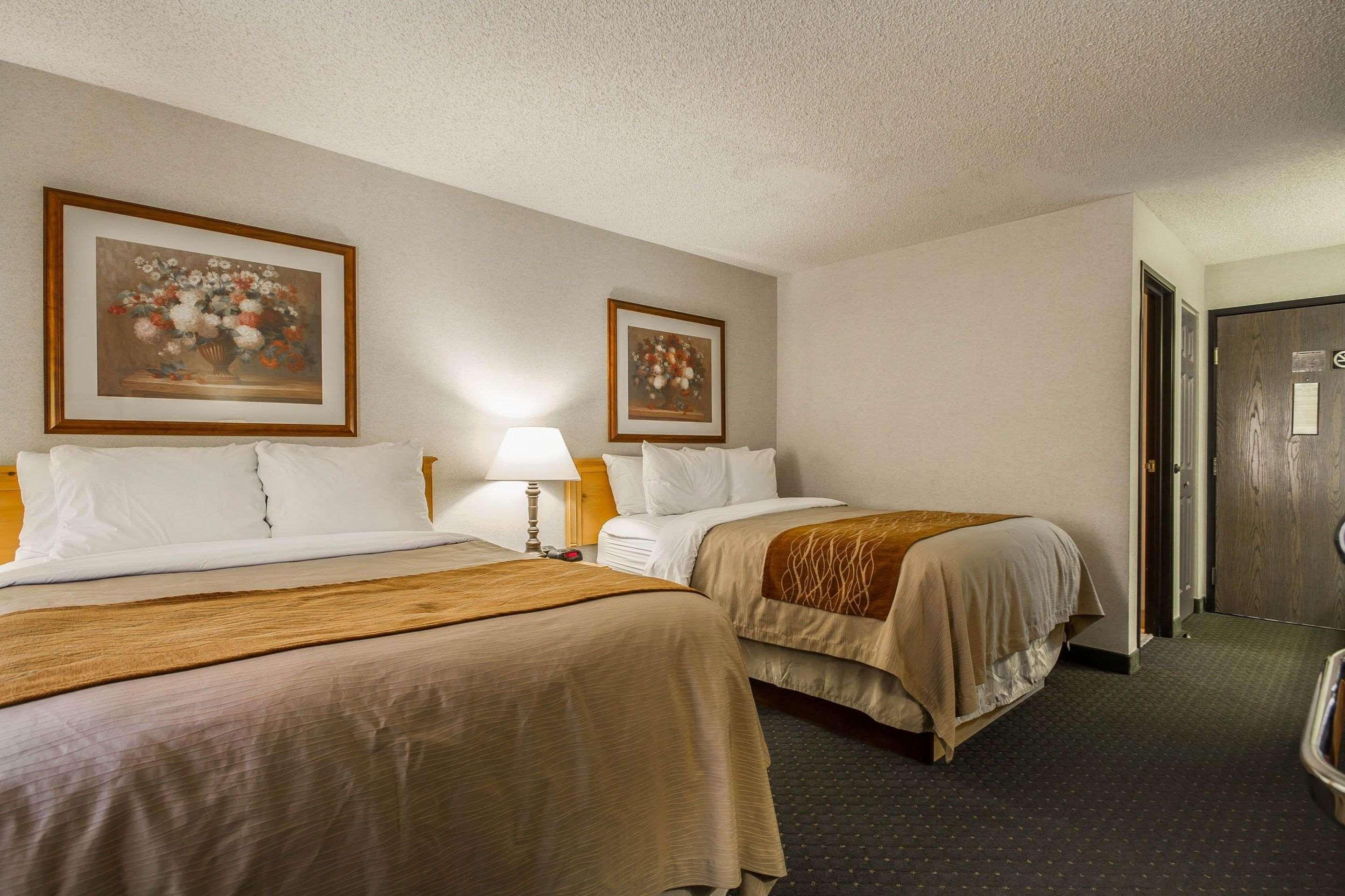 Upgrade, Business, 2 Double Beds