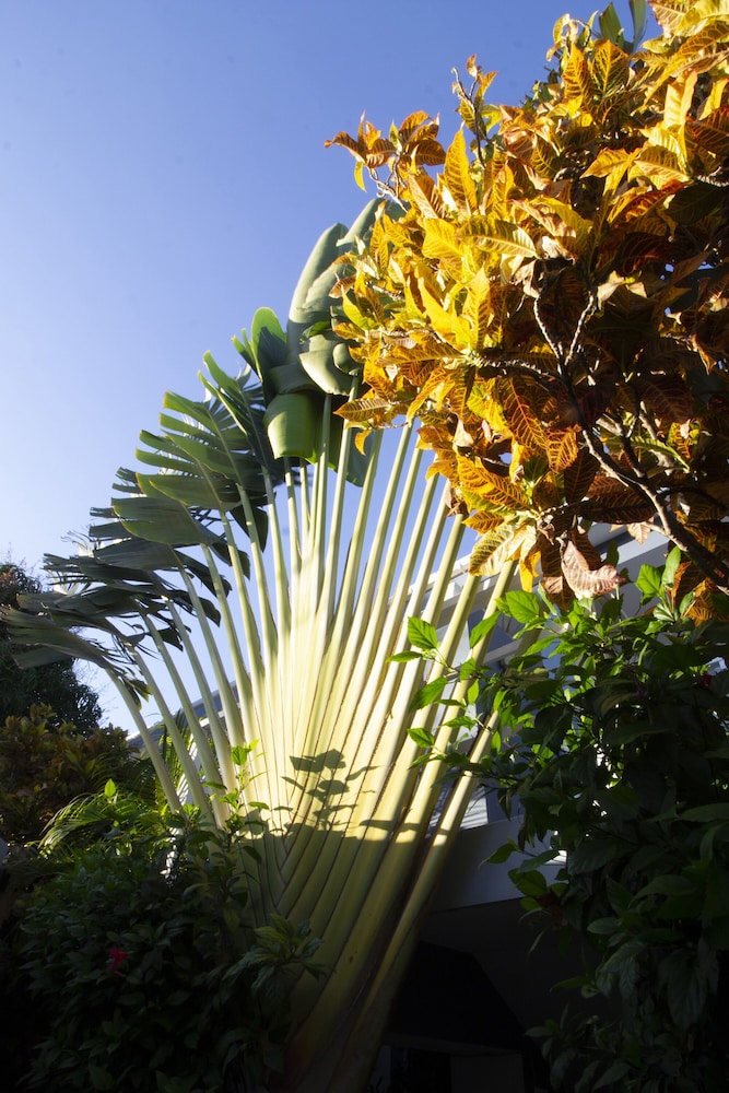 Casa Valeria Boutique Hotel 2/50