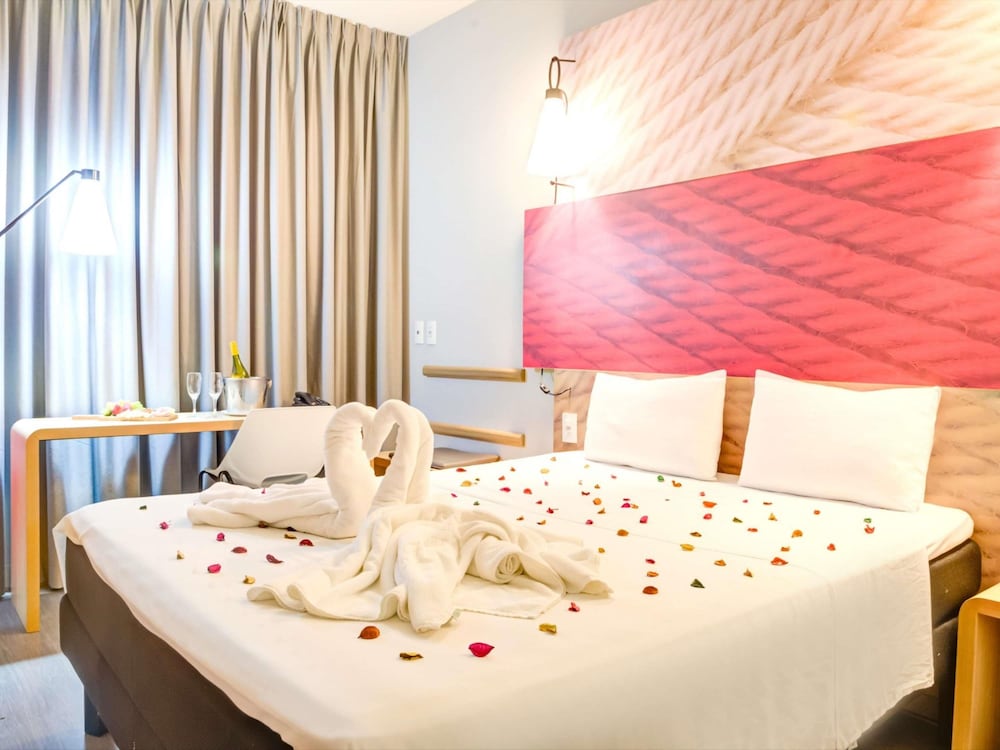 Ibis Paranagua 16/59