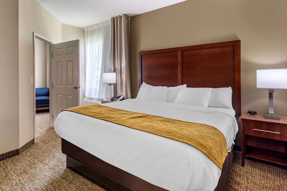 Upgrade, Efficiency, Suite, King Bed, Sofa, Accessible