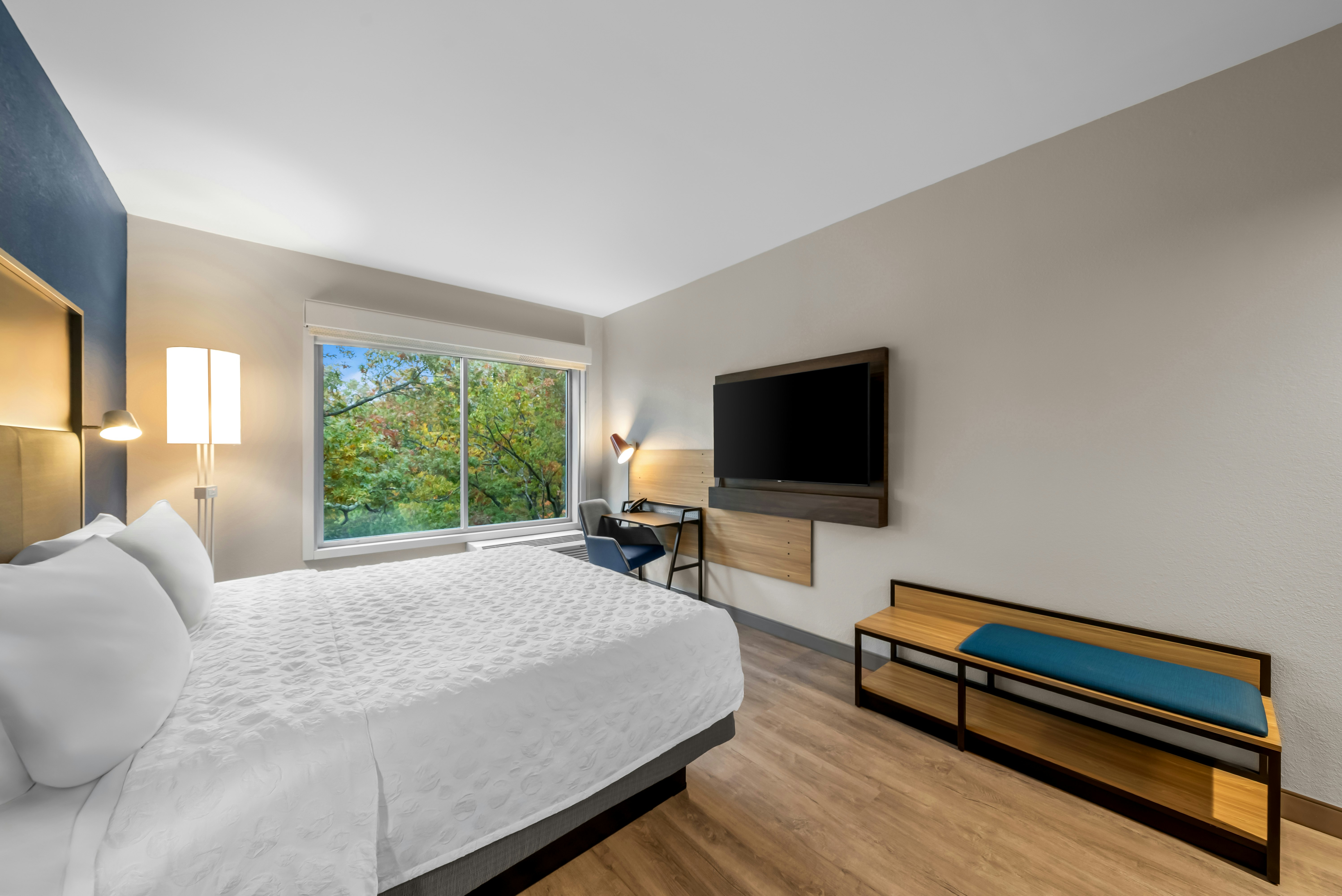 Room, King Bed