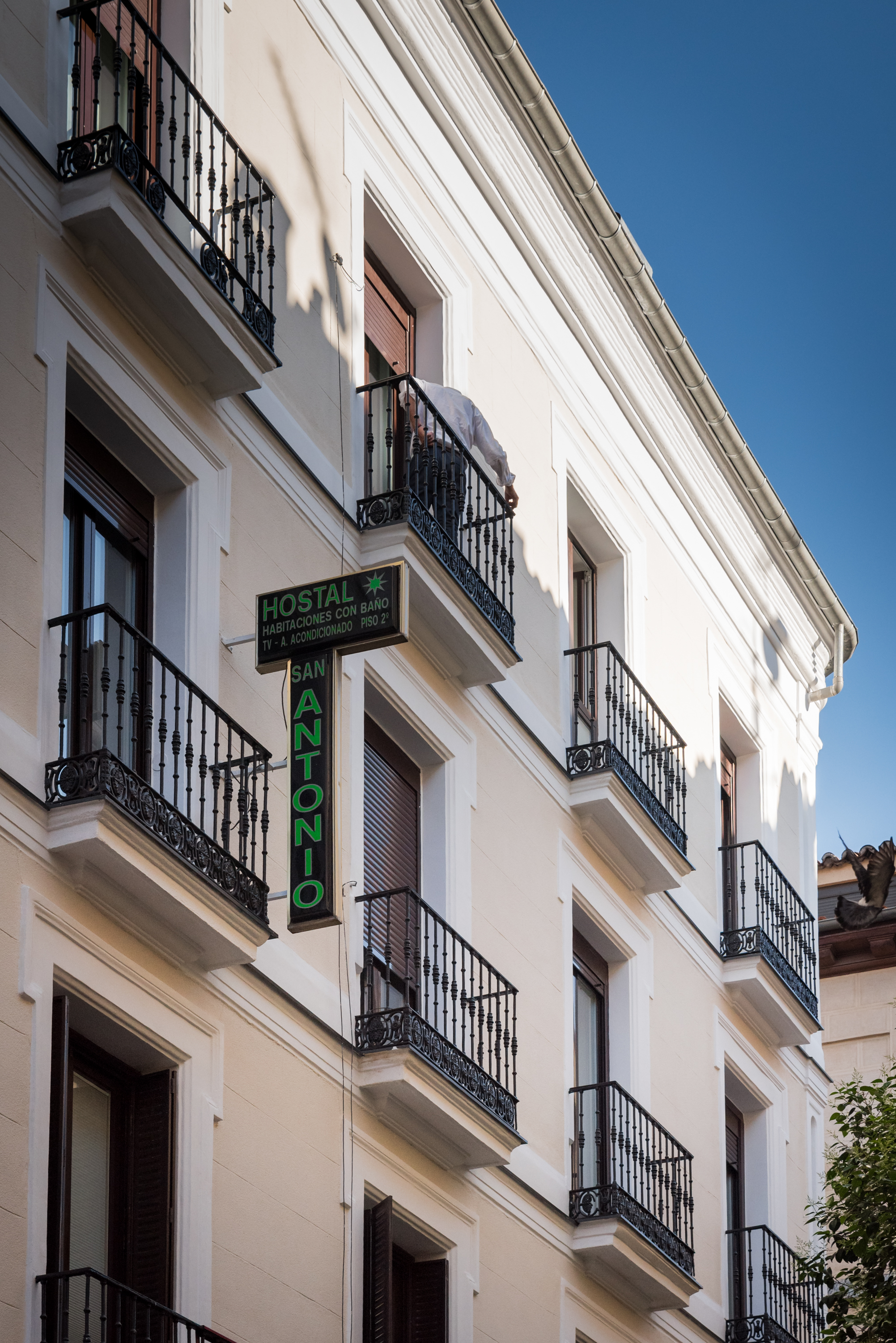 Hostal San Antonio 5/50