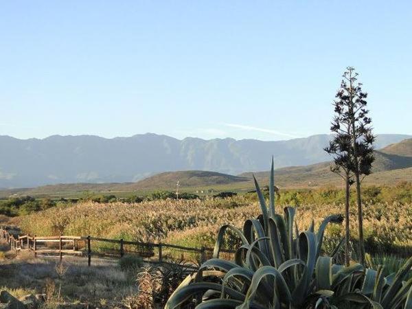 Tanagra Wine & Guestfarm 24/34