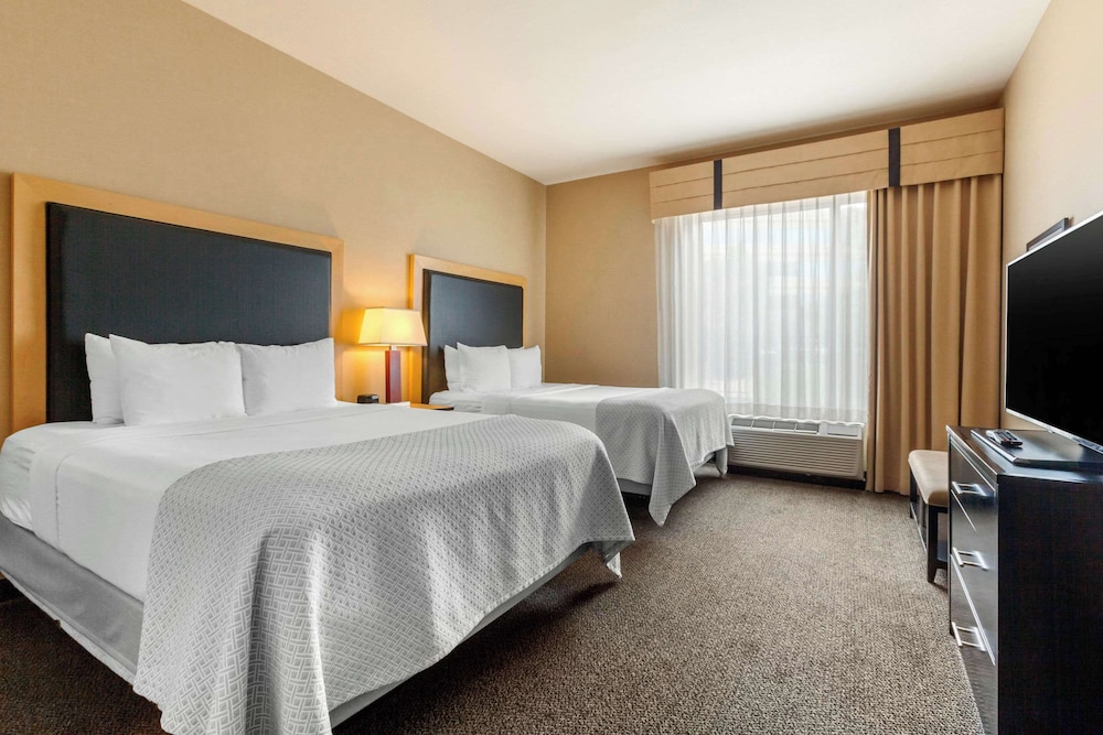 SUITE, MULTIPLE BEDS, ACCESSIBLE