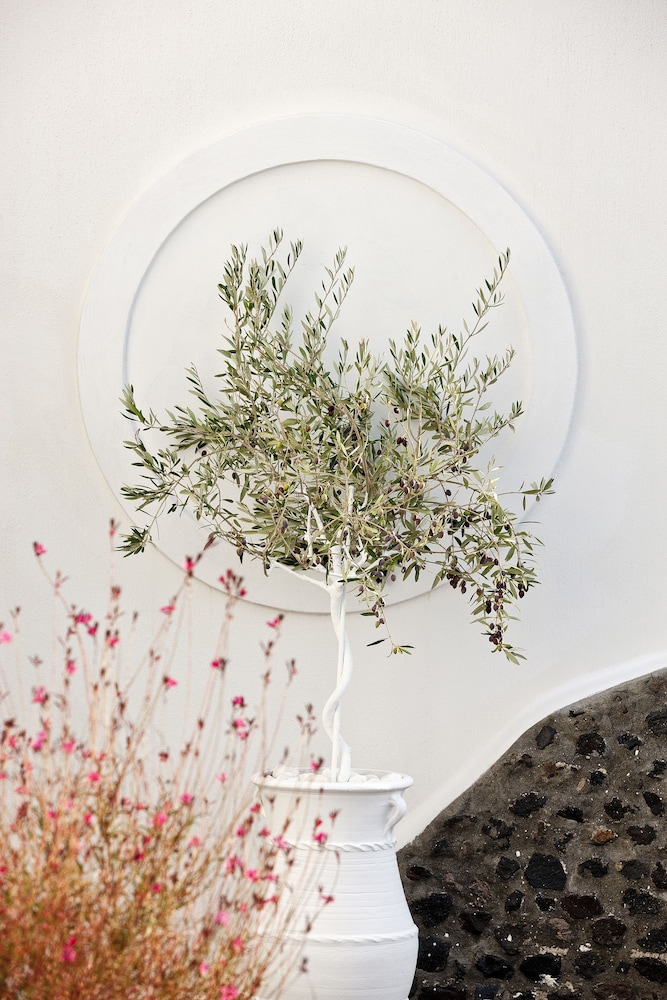 La Maison Luxurious Living 7/32