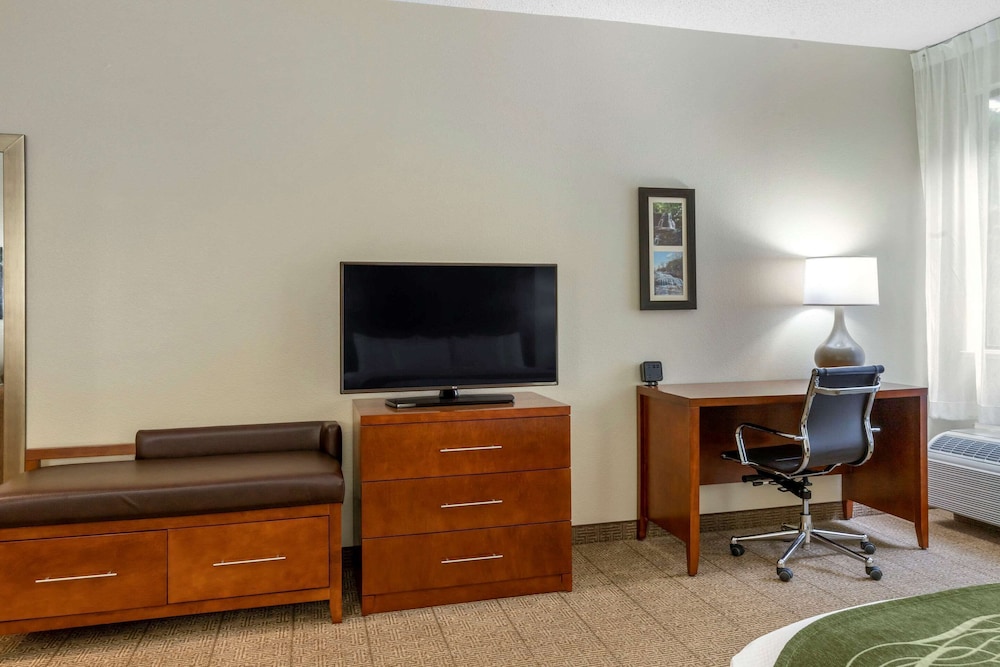 Comfort Inn & Suites Lenoir Hwy 321 Northern Foothills 32/40