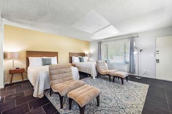 Senior, Double Bed, Private Bathroom, Accessible