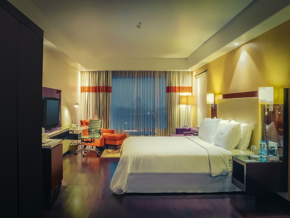 Radisson Hotel Agra 17/68
