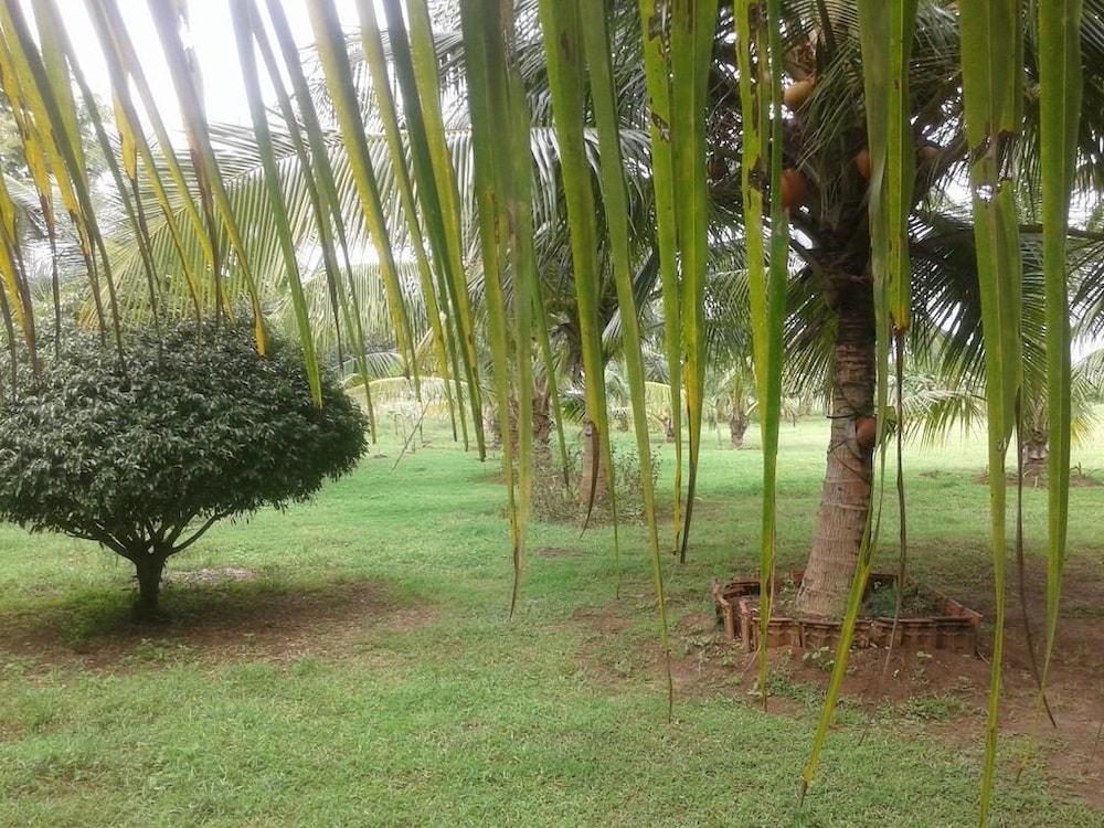 Suwanila Rest 7/10