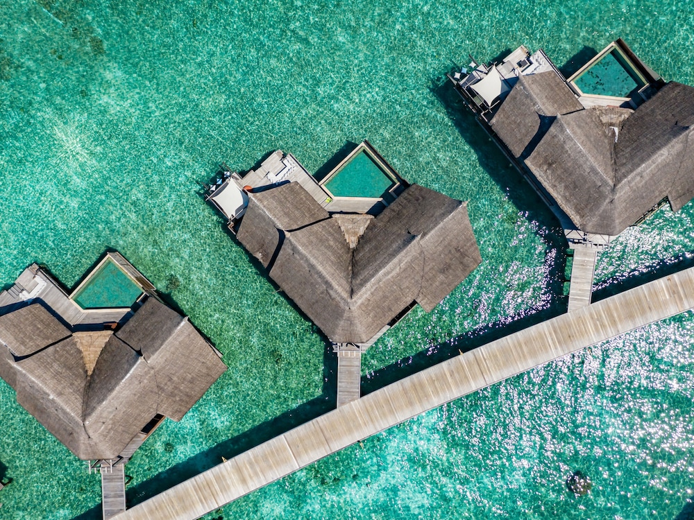 Ozen Reserve Bolifushi 116/136