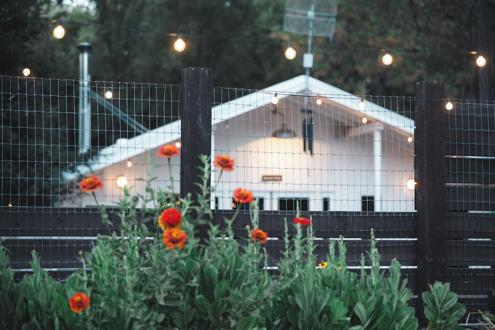 Mandala Springs Wellness Retreat Center 10/75