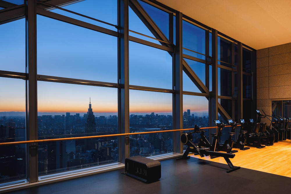 Park Hyatt Tokyo 31/64
