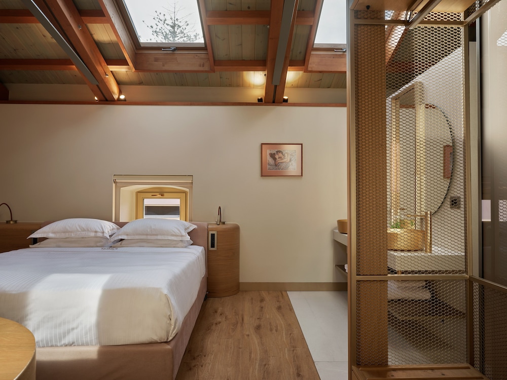 SKYLIGHT, SUITE, LIVING AREA, ATTIC