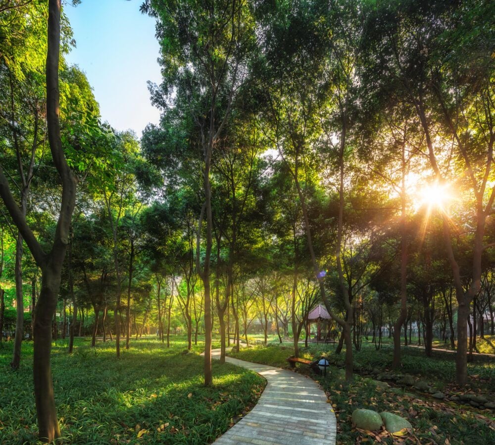 Wangjiang Hotel Chengdu 37/40