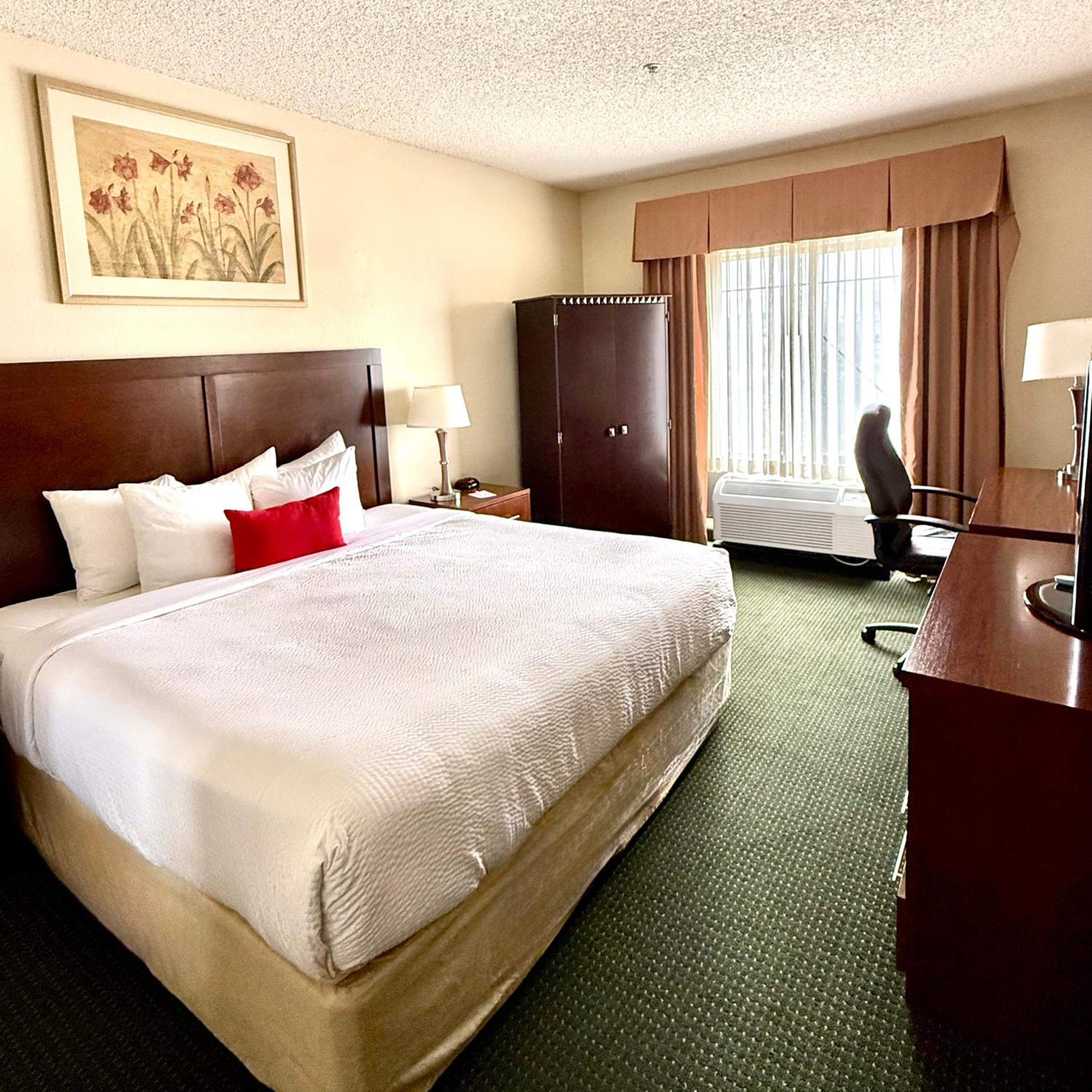 Deluxe, Suite, Accessible