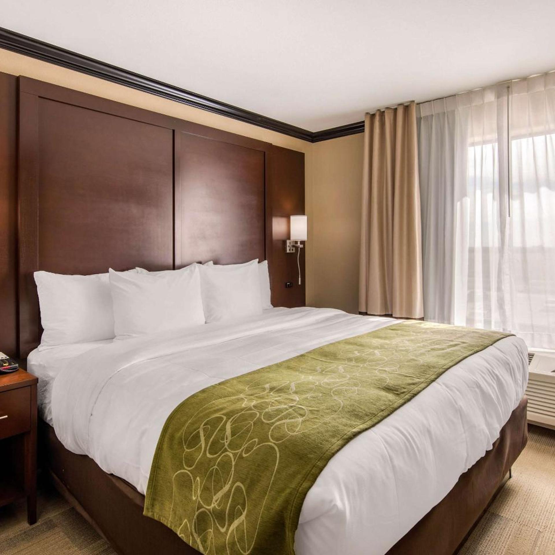 Suite, King Bed, Sofa, Accessible