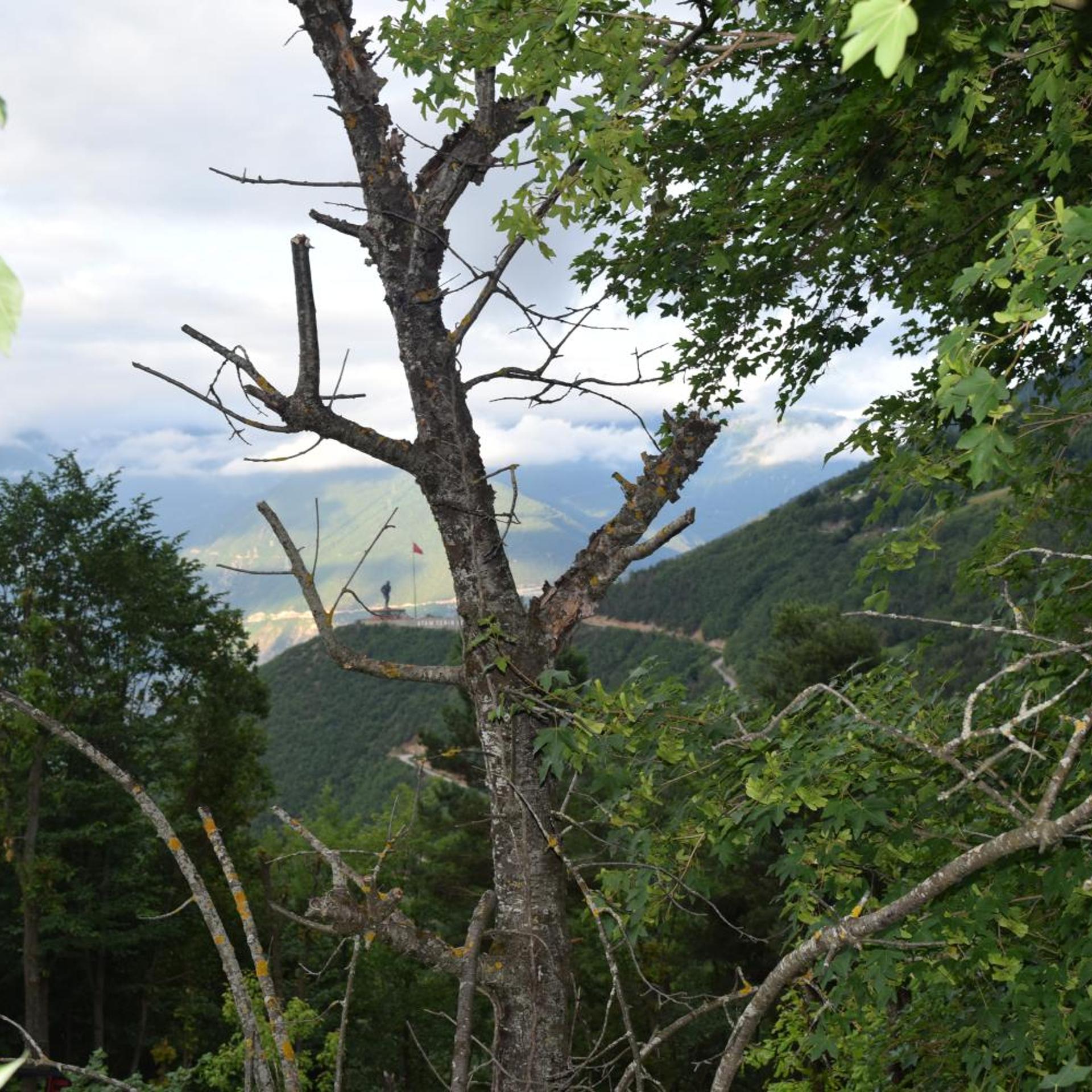 Mars Otel Artvin 43/50