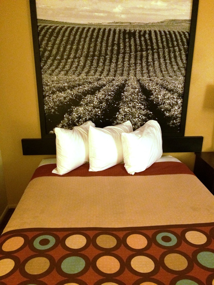 Super 8 By Wyndham Idaho Falls 14/25