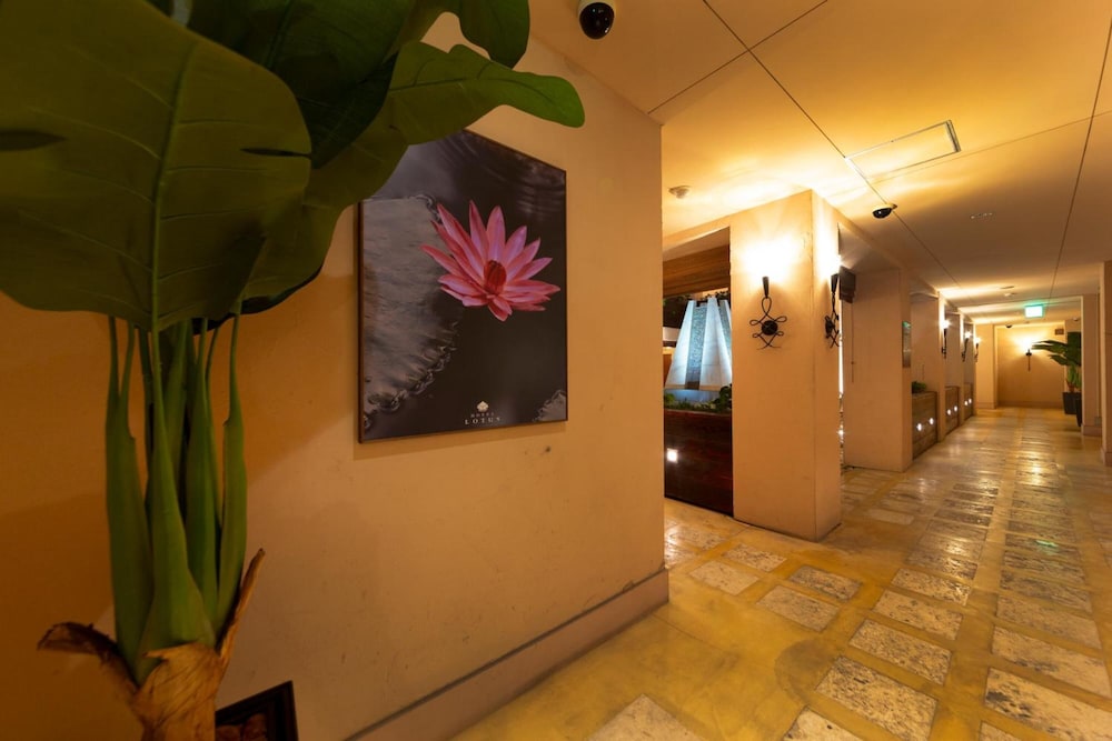 Hotel Lotus Nara - Adults Only 8/62