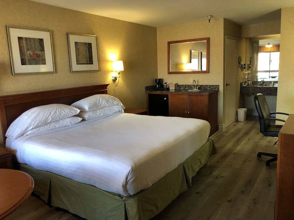 Hotel Le Reve Pasadena 16/59