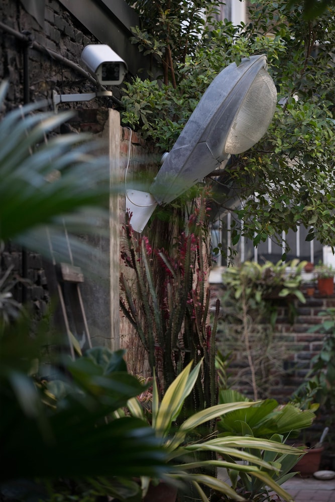 Birdeye Garden 45/49