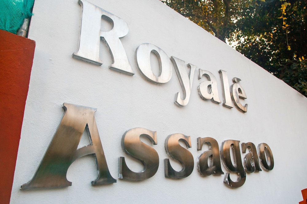 ROYALE ASSAGAO 21/50