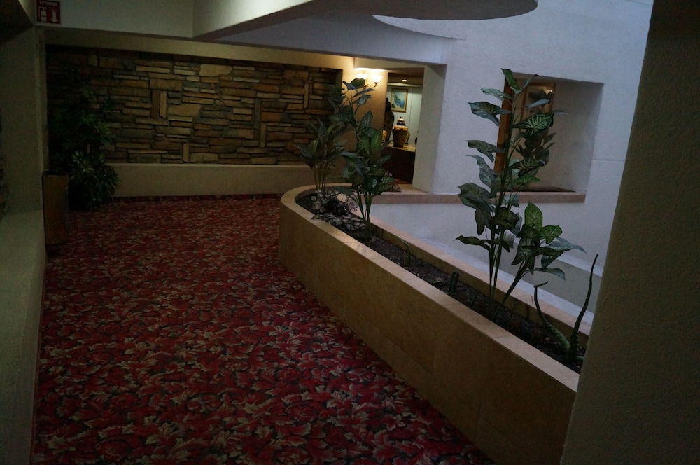 Gran Hotel Villa de Madrid 7/54