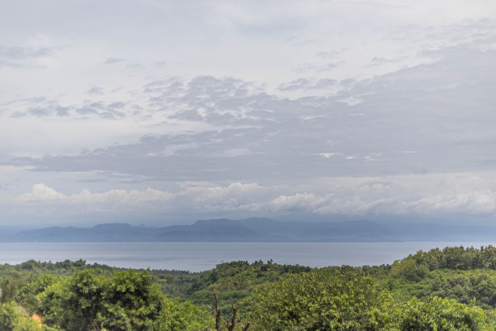 Sarivanna Penida (ex Teba Garden View Cottages and Resto) 29/50