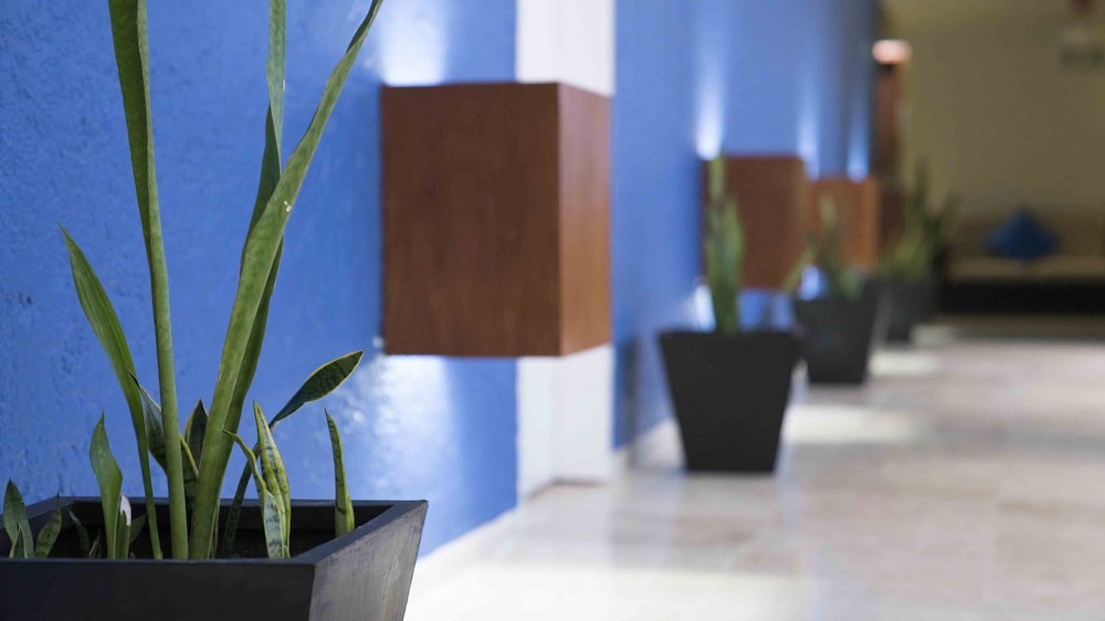 Club Regina Cancun managed by Accor 8/35