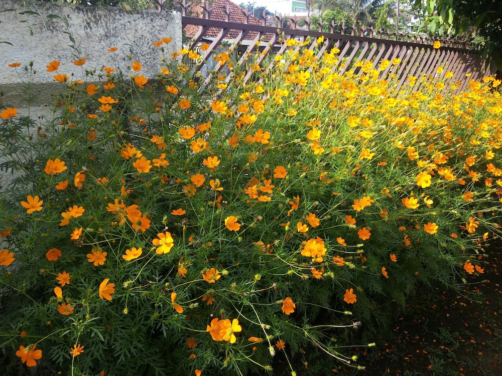 Gio Guesthouse Bogor 20/33