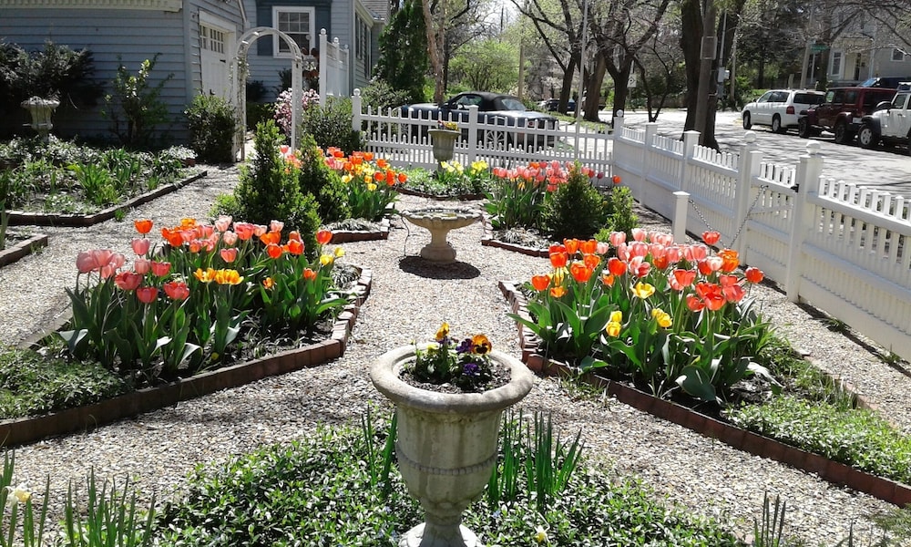 Moore House Bed And Breakfast 1/30