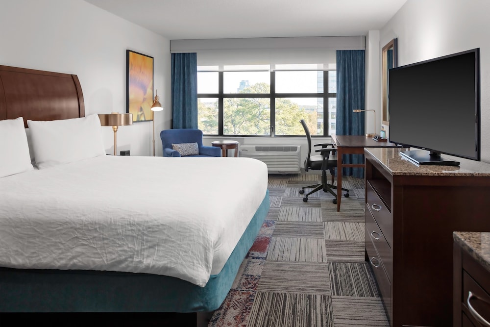 Hilton Garden Inn Atlanta Perimeter Center 16/64