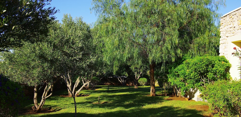 Essaouira Lodge 60/72