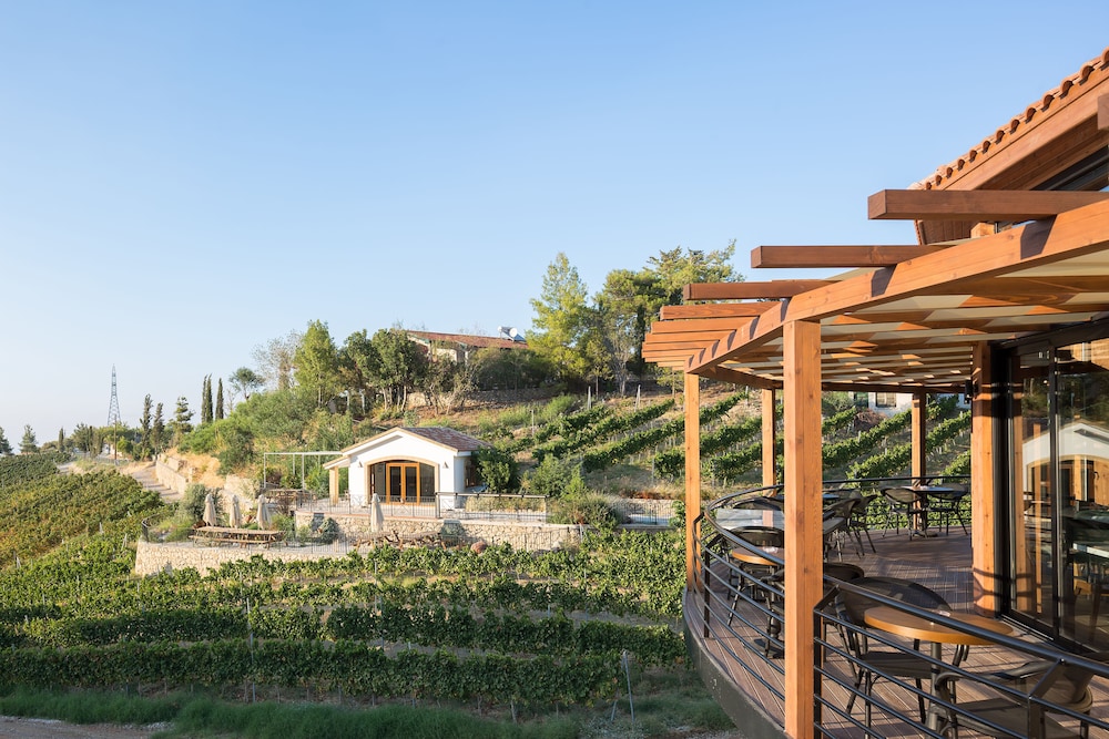 Gillham Vineyard Hotel 40/50