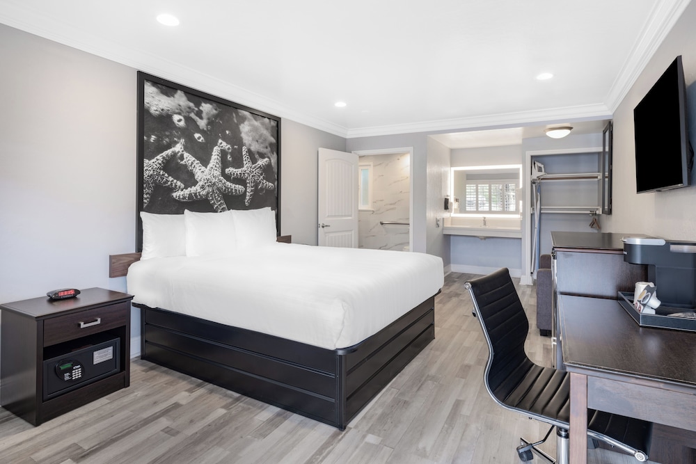 Basic, King Bed, Sofa, Accessible